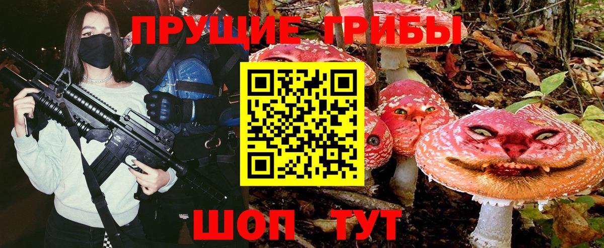 Псилоцибиновые грибы мицелий  Псилоцибиновые грибы Psilocybine cubensis  Тайшет  Вход с VPN 